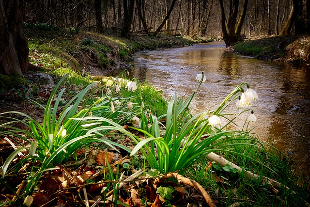 Unpack a Spring Picnic at Eastern Regional Park